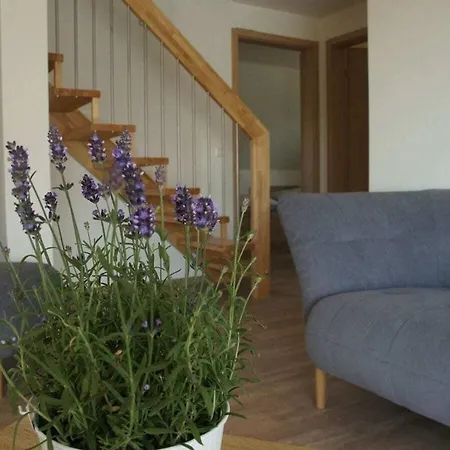 Oak Comfortable Leutkirch im Allgäu