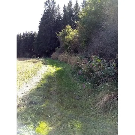 Oak Comfortable Leutkirch im Allgäu